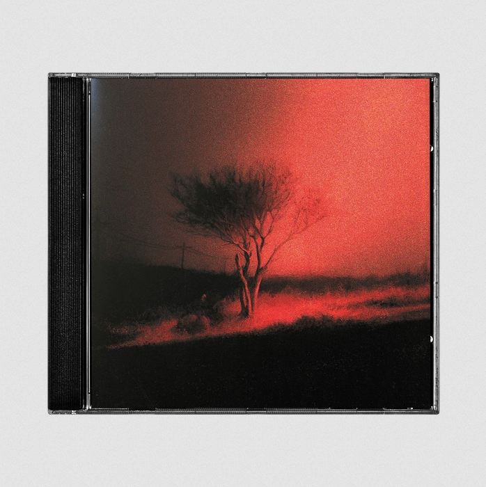 Joji - Piss In The Wind (CD)