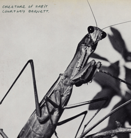 Courtney Barnett - Creature Of Habit (Caramel)