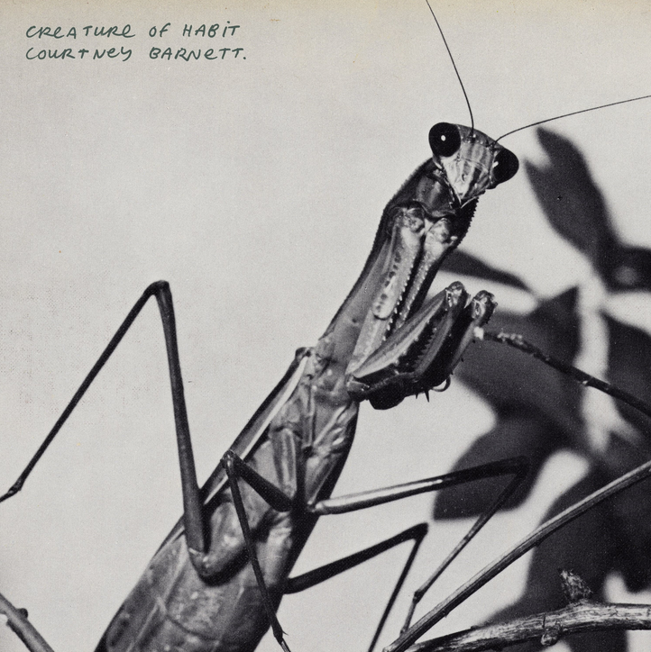 Courtney Barnett - Creature Of Habit (Caramel)