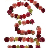 Citizen - Youth (Cassette)