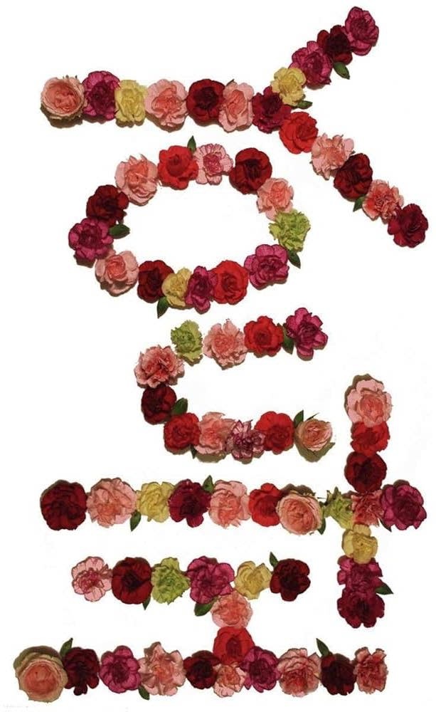 Citizen - Youth (Cassette)