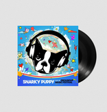Snarky Puppy - Live At Groundup Music Festival