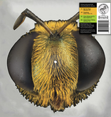 King Gizzard & The Lizard Wizard - Big Fig Wasp