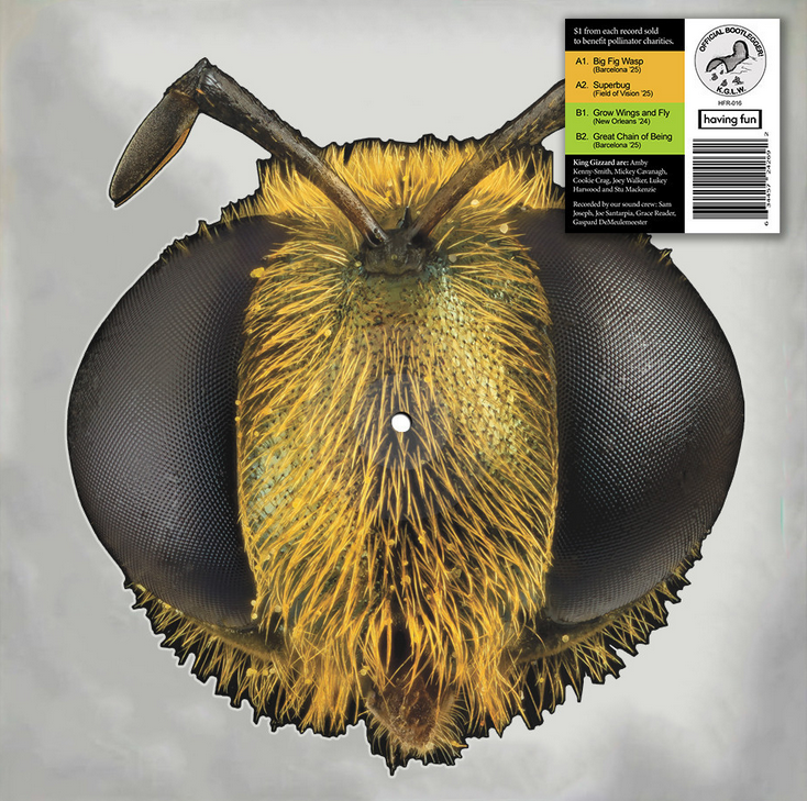 King Gizzard & The Lizard Wizard - Big Fig Wasp