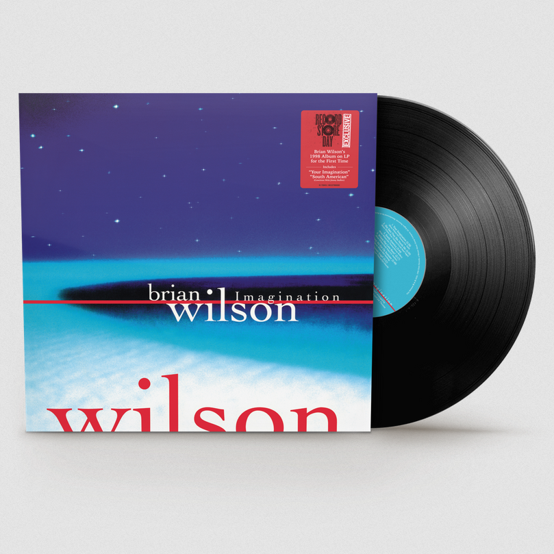 Brian Wilson - Imagination