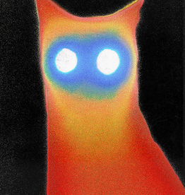 Basement - Wired (Cassette)