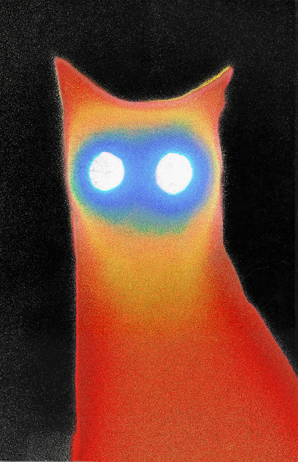 Basement - Wired (Cassette)