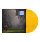 Raye - This Album May Contain Hope (Yellow)