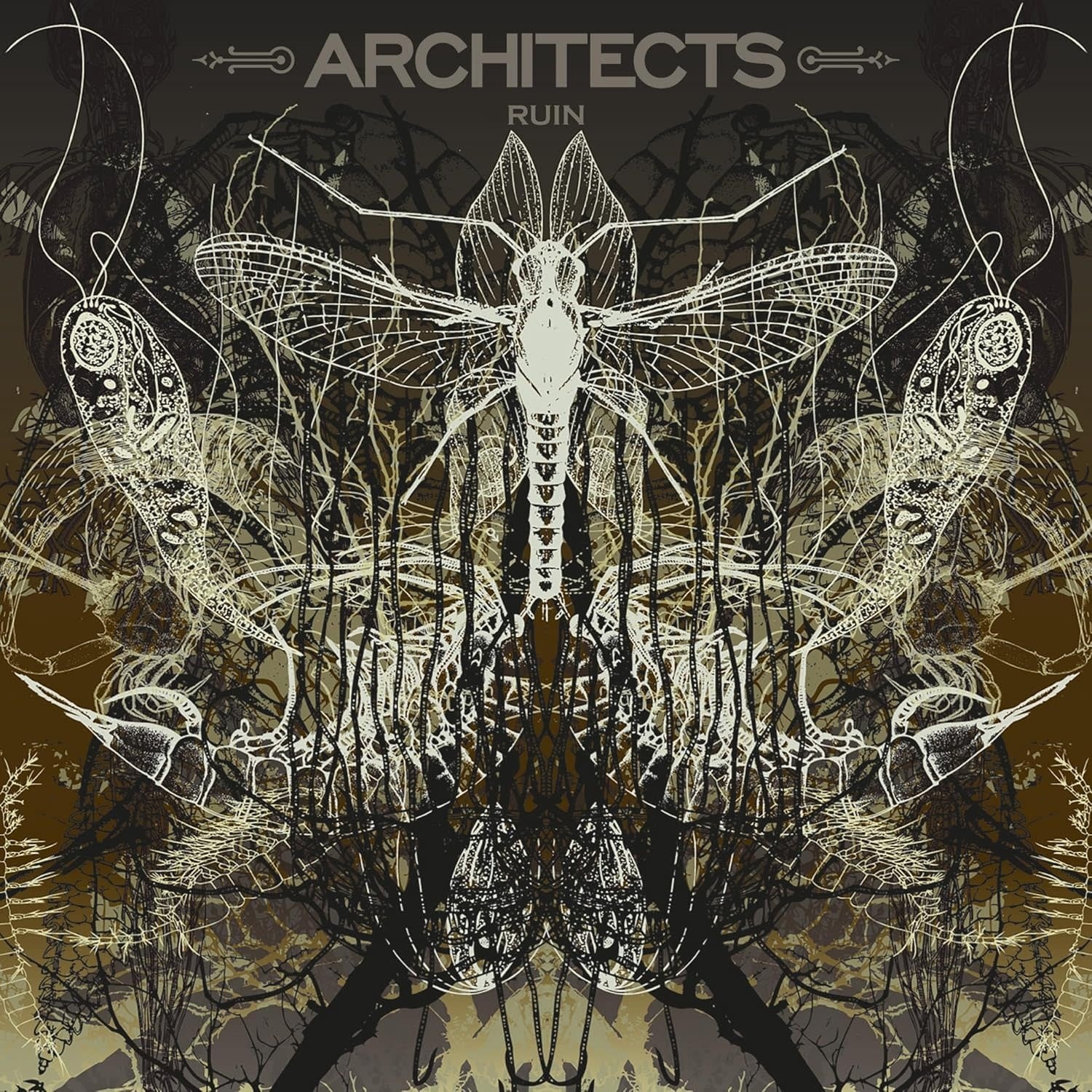 Architects – Ruin (Picture Disc)