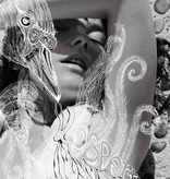 Björk – Vespertine (Cassette)