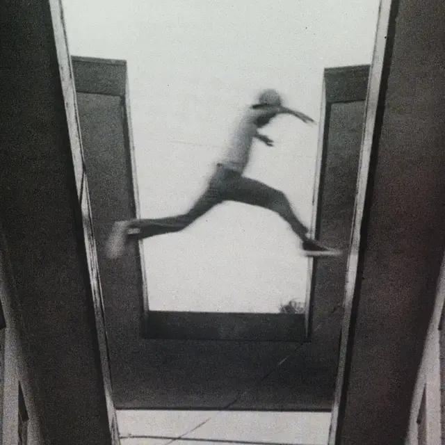 Mos Def - The Ecstatic (CD)
