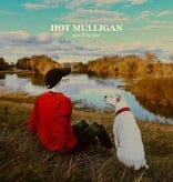 Hot Mulligan - You'll Be Fine (Silver Teal)