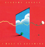 Alabama Shakes - I Must Be Dreaming (Yellow)