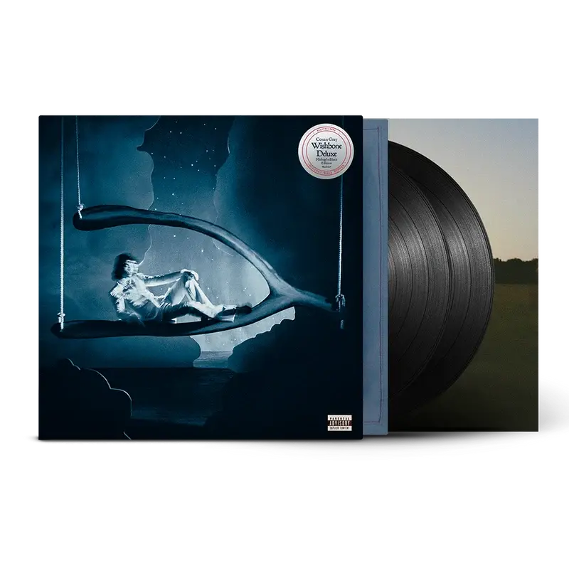 Conan Gray - Wishbone Deluxe (Midnight Black)