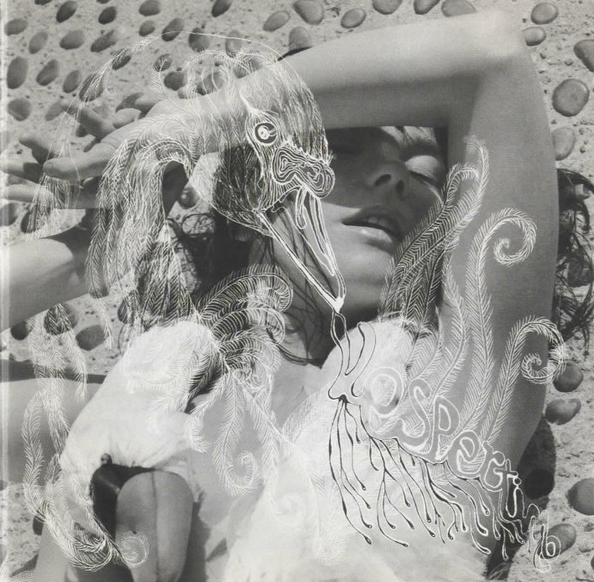 Björk - Vespertine (CD)