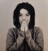 Björk - Debut