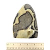 Septarian - Standing Free Form (e6)