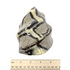 Septarian - Flame (e5)