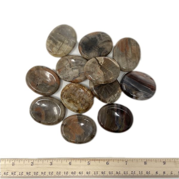  Petrified Wood - Worry Stone (12 piece parcel)