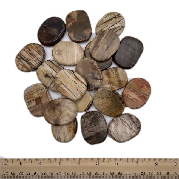  Petrified Wood - Palm Stone Large (1 lb parcel)