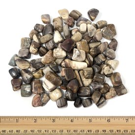  Petrified Wood - Tumbled Small (1 lb parcel)