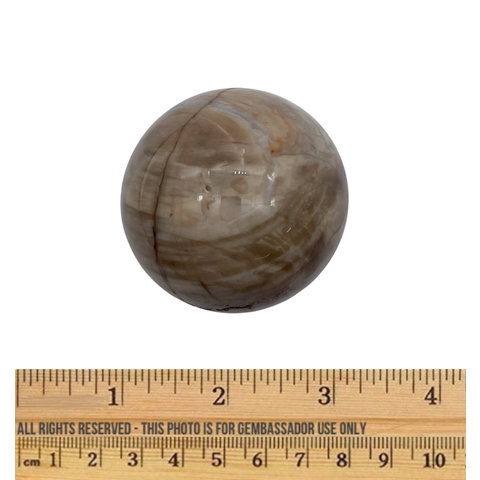Petrified Wood - 50mm Sphere