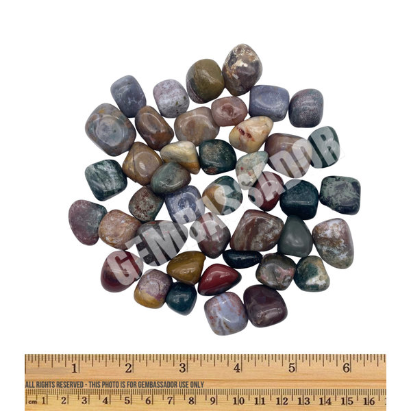  Ocean Jasper - Tumbled Small (1lb parcel)