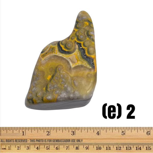 (e2) Bumble Bee Jasper - Standing Free Form (e2)