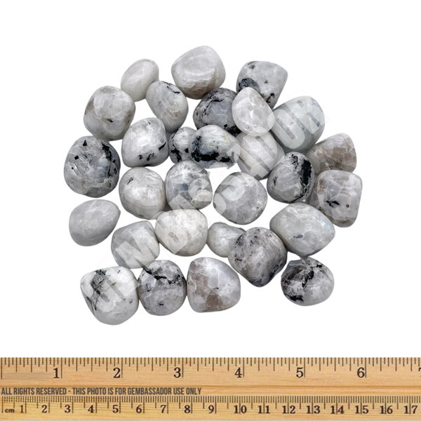  Rainbow Moonstone - Tumbled Large (1 lb parcel)