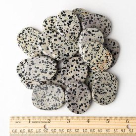  Dalmatian Jasper - Palm Stone Large (1 lb parcel)