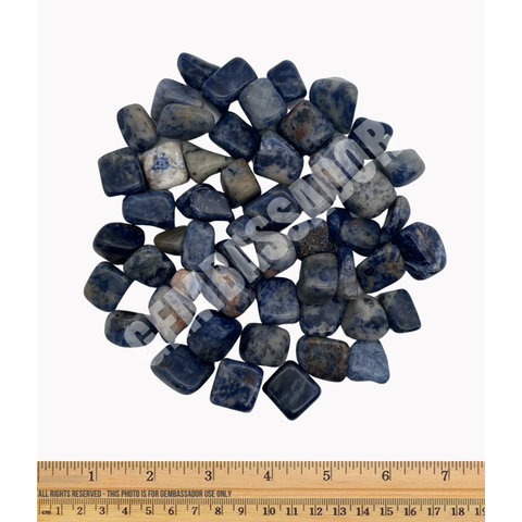 Sodalite - Tumbled Small (1 lb parcel)