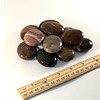 Petrified Wood - Palm Stone Pillow (12 piece parcel)