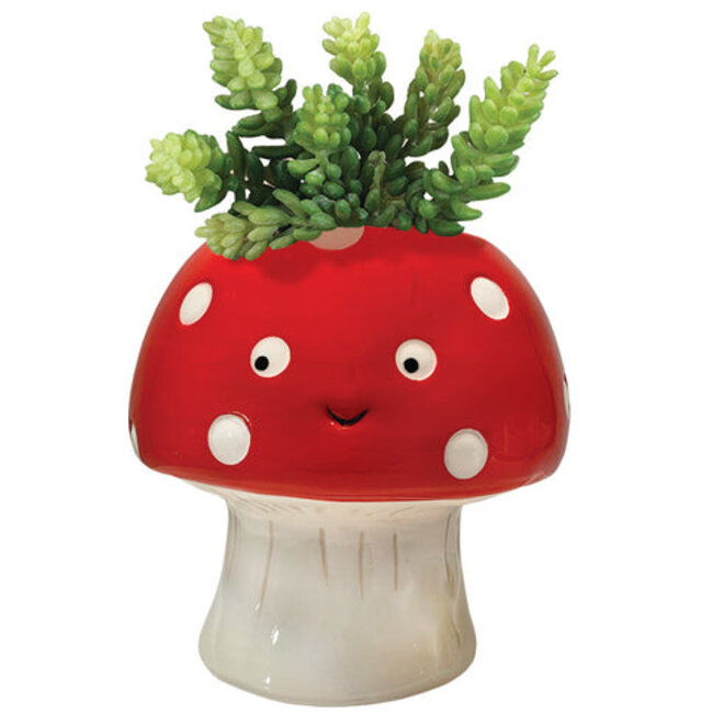 Small Mushroom Planter