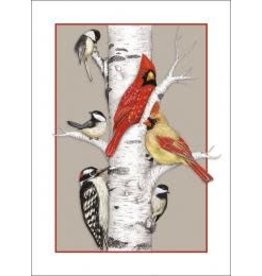 Sugarhouse/Bottman Boxed Xmas Cards-Birch Birds(pk. of 10)
