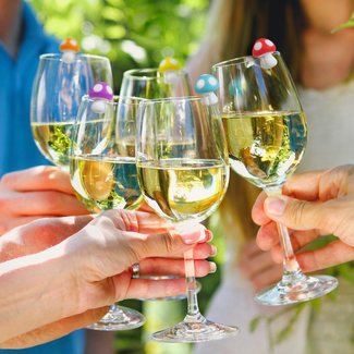 Tiny Toadstools Wine Markers