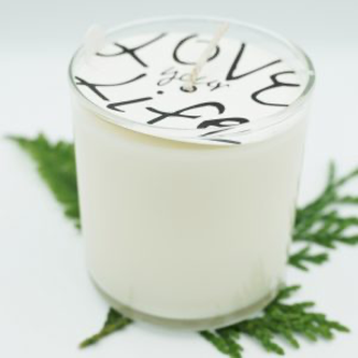 Rainwater Rainwater Soy Wax Candle Monkey Farts