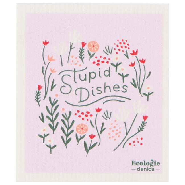Sponge Cloth Stupid Dishes