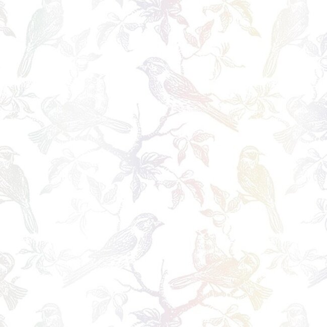 The Gift Wrap Company Gift Wrap - Wings Of Pearl