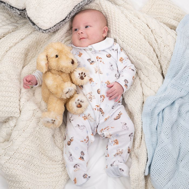 Wrendale Little Paws Sleepsuit