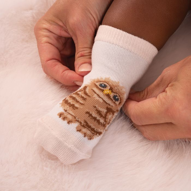 Wrendale Little Forest Woodland Animal Baby Sock Set/3: