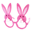 E&S Accessories Pink Glitter Rabbit Frames