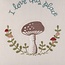 Pillow - Love This Place