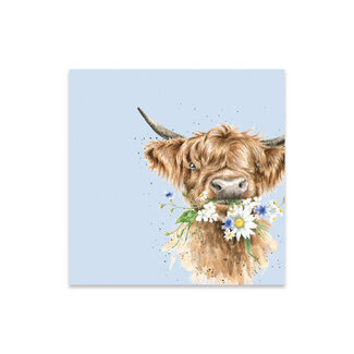 WRENDALE Cocktail Napkin - Highland Cow - Daisy Coo