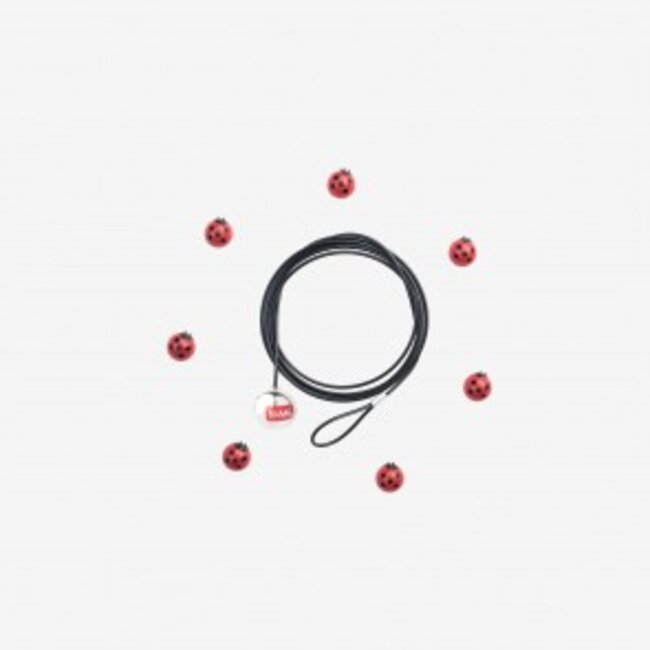 Photo Holder (More Choices)