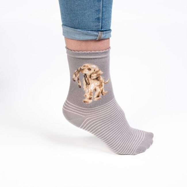 Wrendale Bamboo Socks - Dog - Hopeful (Gray)