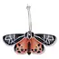 Orange Black Lunar Moth Hoop Earrings