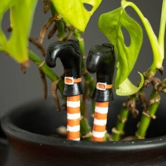 Set of 2 Witch Leg Halloween Plant Pot Ornaments