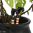 Set of 2 Witch Leg Halloween Plant Pot Ornaments