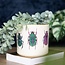 Off White Beetle Plant Pot