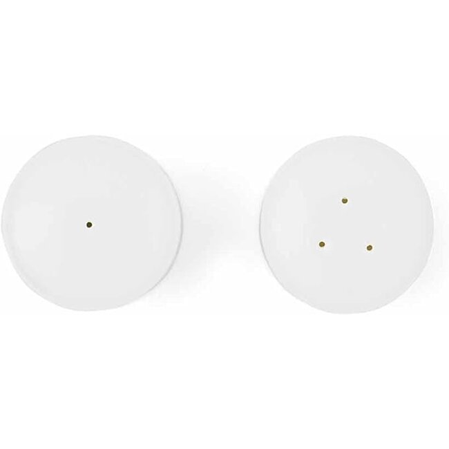 Wrendale Wrendale Salt & Pepper Set-Ducks